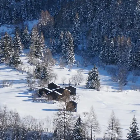 Im Stahle Apartment Fiesch